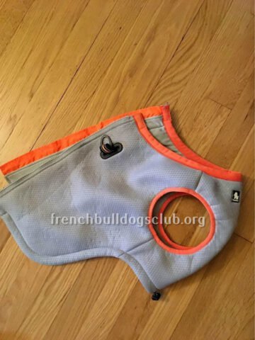 Cooling Vest - SGODA