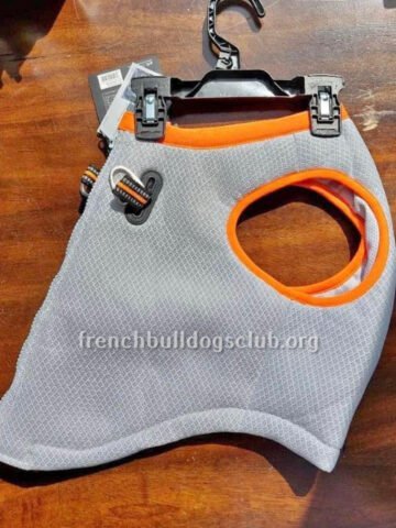 Cooling Vest - SGODA