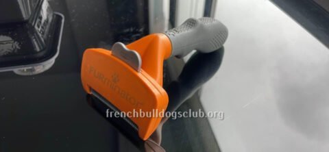 Deshedding Tool - Furminator