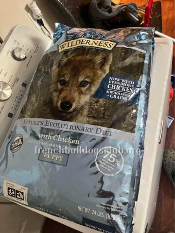 Food For Puppies - Blue Buffalo