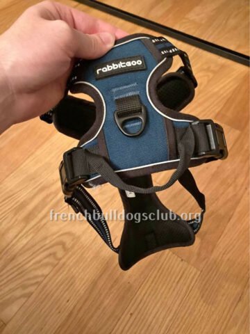 Harnesses - Rabbitgoo 1