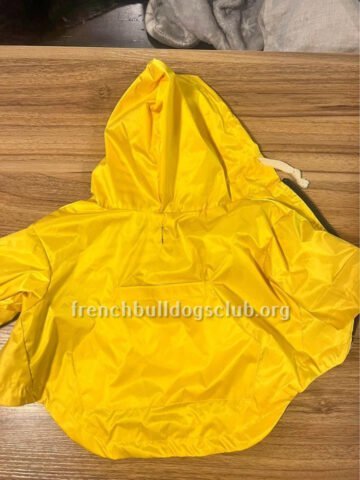 Raincoats - Ellie Dog