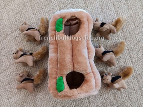 Separation Anxiety Toys - Outward Hound