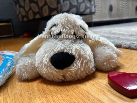 Separation Anxiety Toys - Smart Pet Love