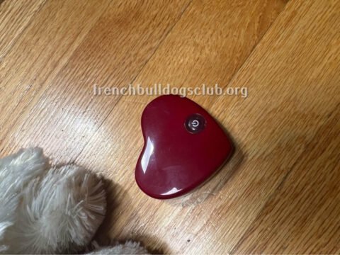 Separation Anxiety Toys - Smart Pet Love