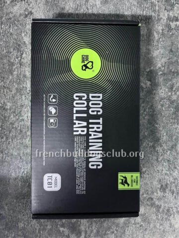 Training Sets - Dog Care