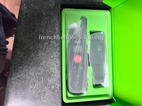 Training Sets - Dog Care