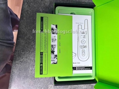 Training Sets - Dog Care